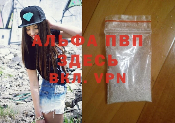 стаф Пересвет