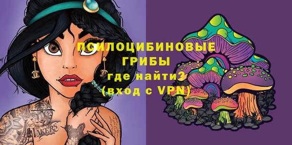прущая мука Переславль-Залесский