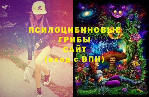 прущая мука Переславль-Залесский