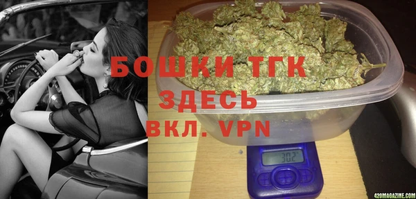 стаф Пересвет