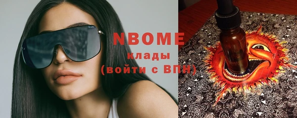 стаф Пересвет