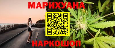 шишки Заволжье