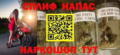 шишки Заволжье