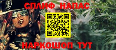 шишки Заволжье