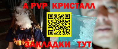 шишки Заволжье