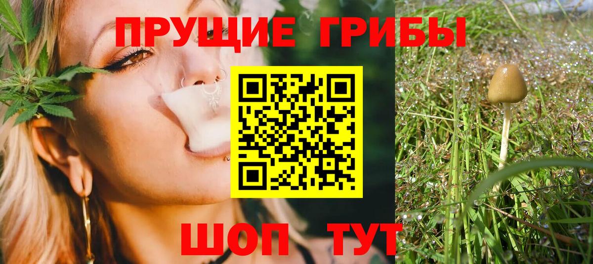 Галлюциногенные грибы GOLDEN TEACHER  Уварово 