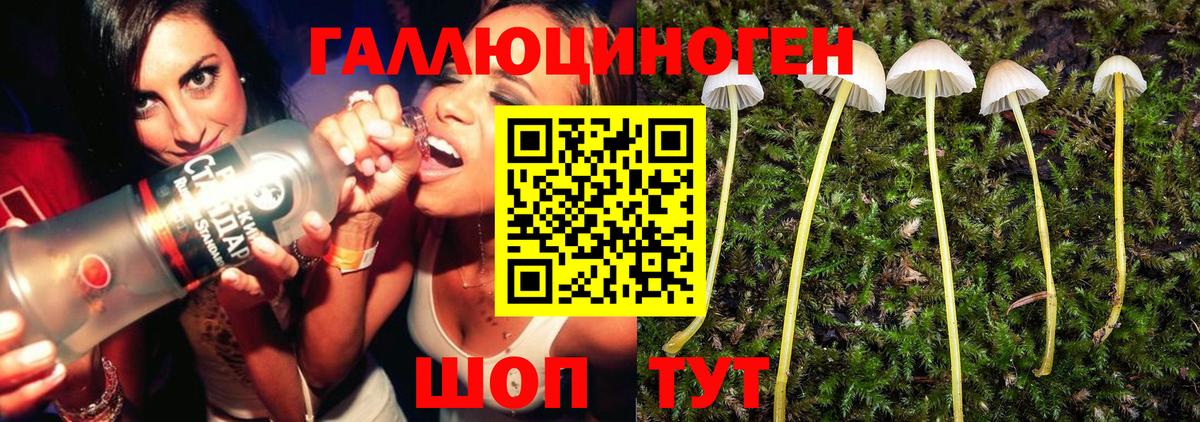 Псилоцибиновые грибы Psilocybe Уварово